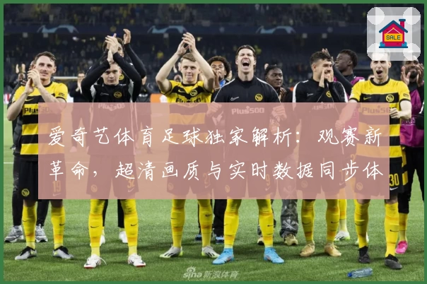 爱奇艺体育足球独家解析：观赛新革命，超清画质与实时数据同步体验