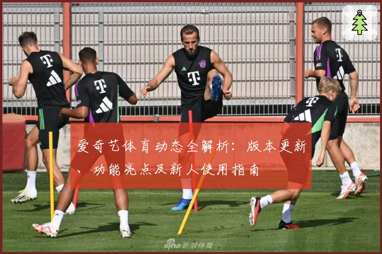 爱奇艺体育动态全解析：版本更新、功能亮点及新人使用指南